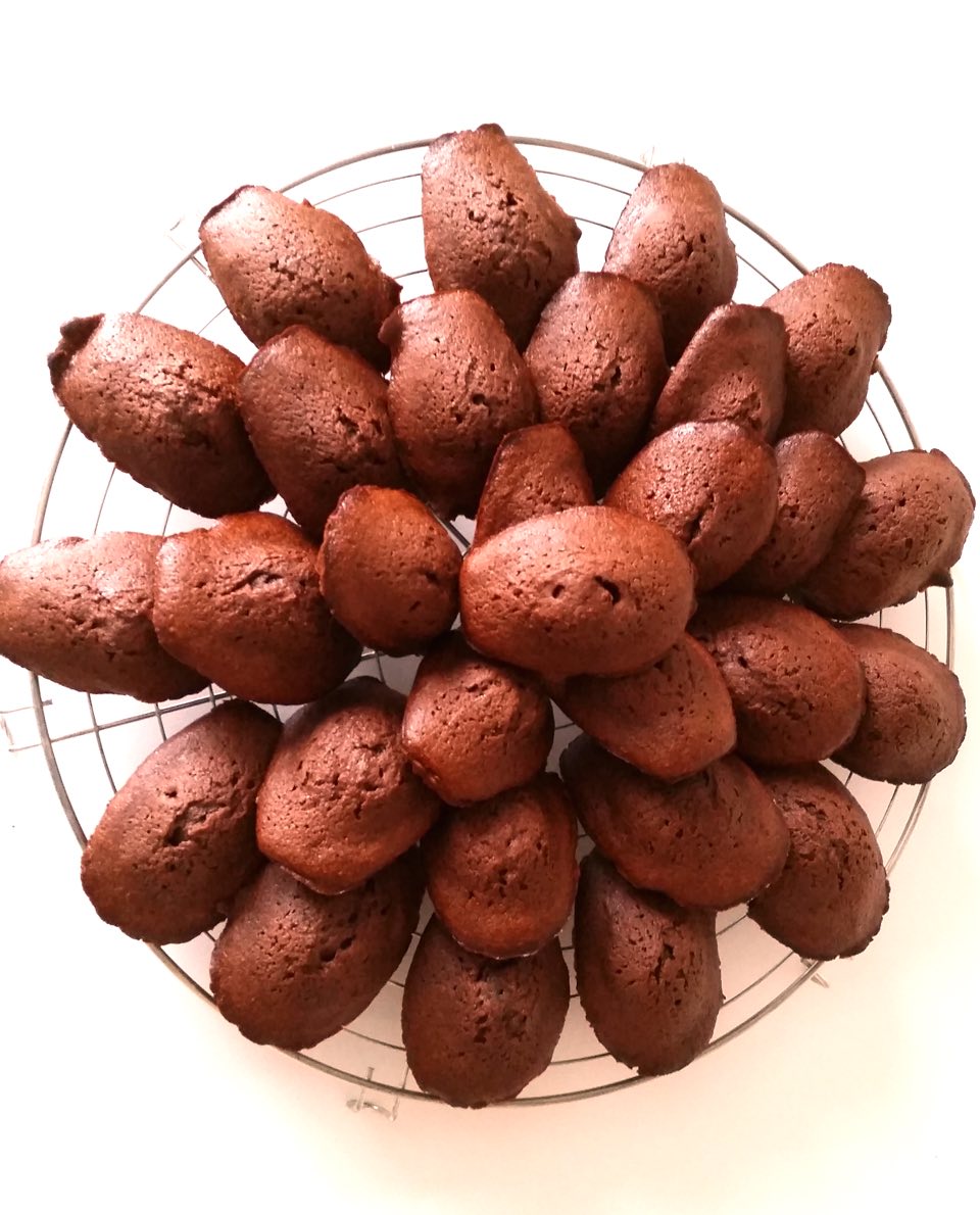 madeleines-chocolat